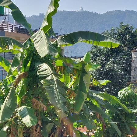 Paramount Guest House Pokhara Exterior photo